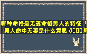 哪种命格是无妻命格男人的特征「男人命中无妻是什么意思 🐕 啊」